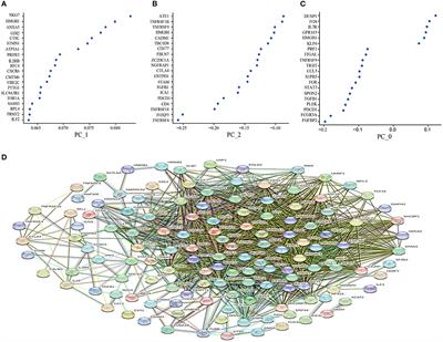 Irradiation-Induced Changes in the Immunogenicity of Lung Cancer Cell Lines: Based on Comparison of X-rays and Carbon Ions